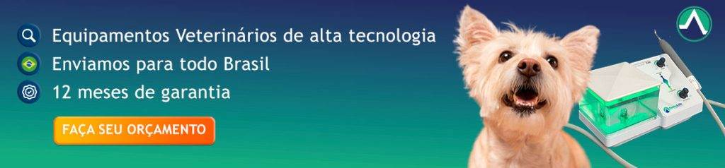 Delta Life-Tirinha de blog-Orçamento-Autores GS2 Marketing-Divulgação