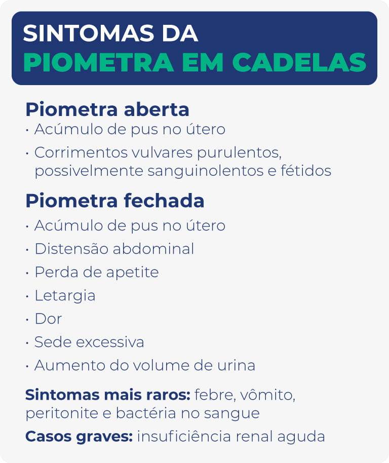 Sintomas da piometra em cadelas Sintomas da piometra em cadelas
Piometra aberta
Acúmulo de pus no útero.
Corrimentos vulvares purulentos, possivelmente sanguinolentos e fétidos.
Piometra fechada
Acúmulo de pus no útero.
Distensão abdominal.
Perda de apetite.
Letargia.
Dor.
Sede excessiva.
Aumento do volume de urina.
Sintomas mais raros: febre, vômito, peritonite e bactéria no sangue.
Casos graves: insuficiência renal aguda.