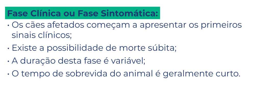 Sintomas da cardiomiopatia dilatada em cães Sintomas da cardiomiopatia dilatada em cães
Fase Clínica ou Fase Sintomática:
-Os cães afetados começam a apresentar os primeiros sinais clínicos;
-Existe a possibilidade de morte súbita;
-A duração desta fase é variável;
-O tempo de sobrevida do animal é geralmente curto.