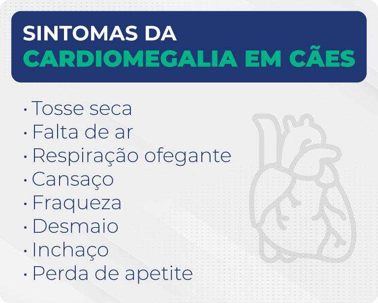 Sintomas da cardiomegalia em cães
Tosse seca
Falta de ar
Respiração ofegante
Cansaço
Fraqueza
Desmaio
Inchaço
Perda de apetite
