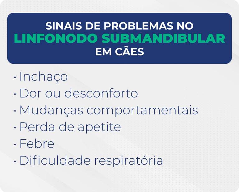 Sinais de problemas no linfonodo submandibular em cães Sinais de problemas no linfonodo submandibular em cães
Inchaço
Dor ou desconforto
Mudanças comportamentais
Perda de apetite
Febre
Dificuldade respiratória