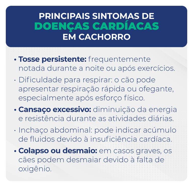 Principais sintomas de doenças cardíacas em cachorro Principais sintomas de doenças cardíacas em cachorro Tosse persistente: frequentemente notada durante a noite ou após exercícios. Dificuldade para respirar: o cão pode apresentar respiração rápida ou ofegante, especialmente após esforço físico. Cansaço excessivo: diminuição da energia e resistência durante as atividades diárias. Inchaço abdominal: pode indicar acúmulo de fluidos devido à insuficiência cardíaca. Colapso ou desmaio: em casos graves, os cães podem desmaiar devido à falta de oxigênio.