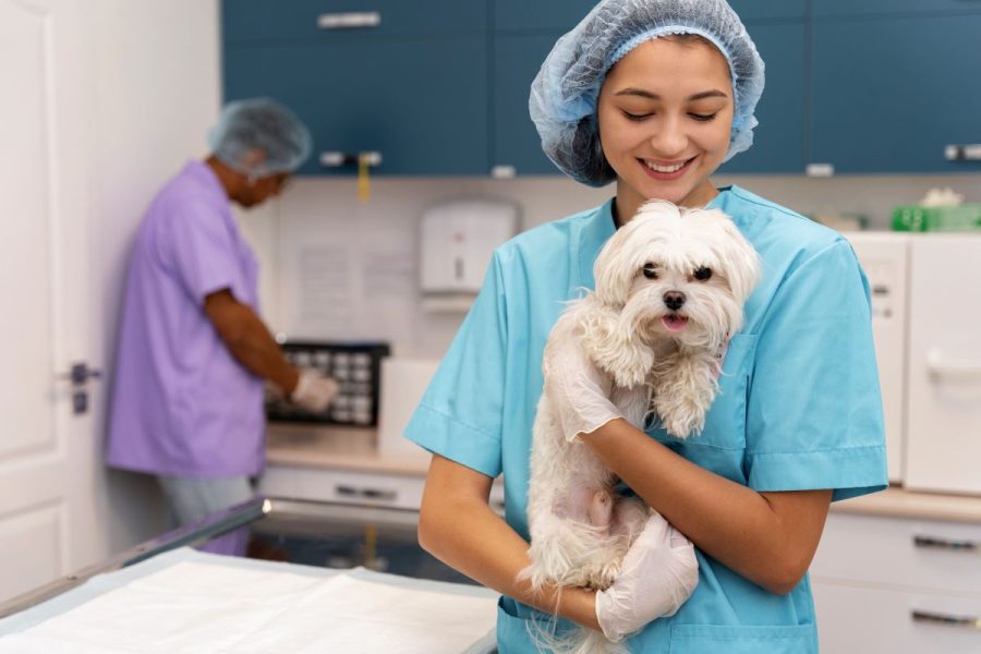 Veterinária segurando cachorro no colo para realizar consulta de exame.